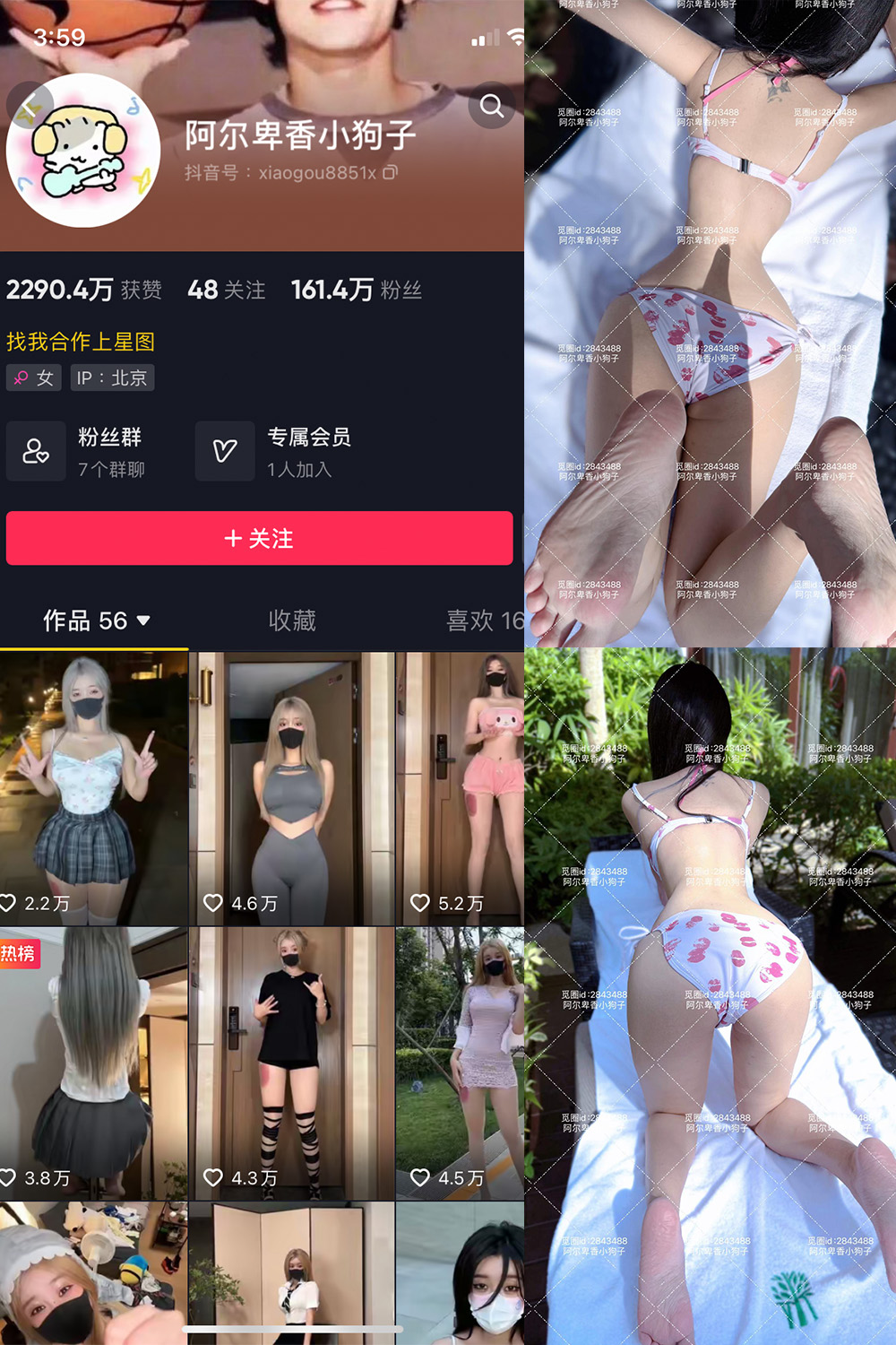 抖音 阿尔卑香小狗子 微密圈 NO.060期 【17P】