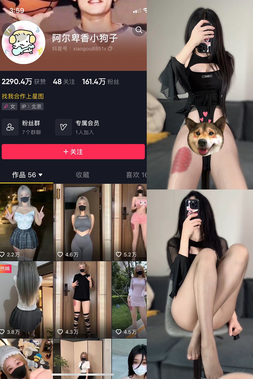 抖音 阿尔卑香小狗子 微密圈 NO.026期 【8P1V】