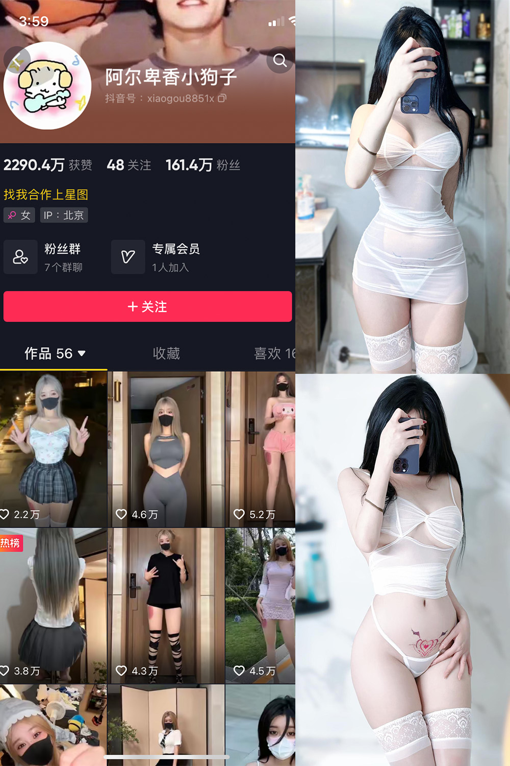 抖音 阿尔卑香小狗子 微密圈 NO.022期 【9P】