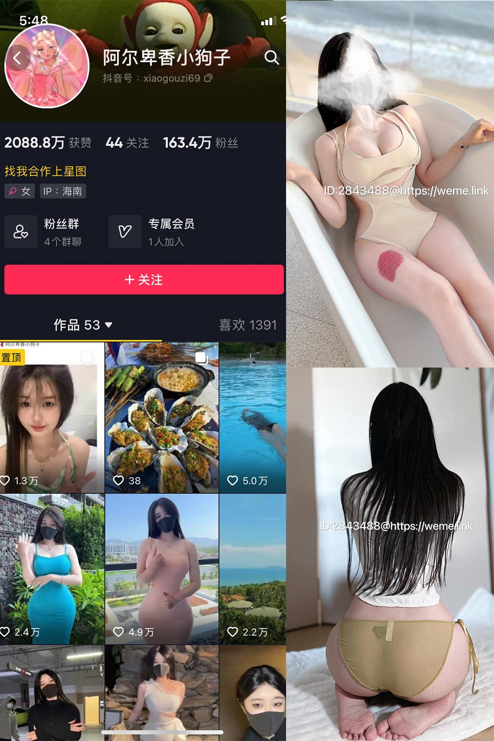 抖音 阿尔卑香小狗子 微密圈 NO.013期 【46P】