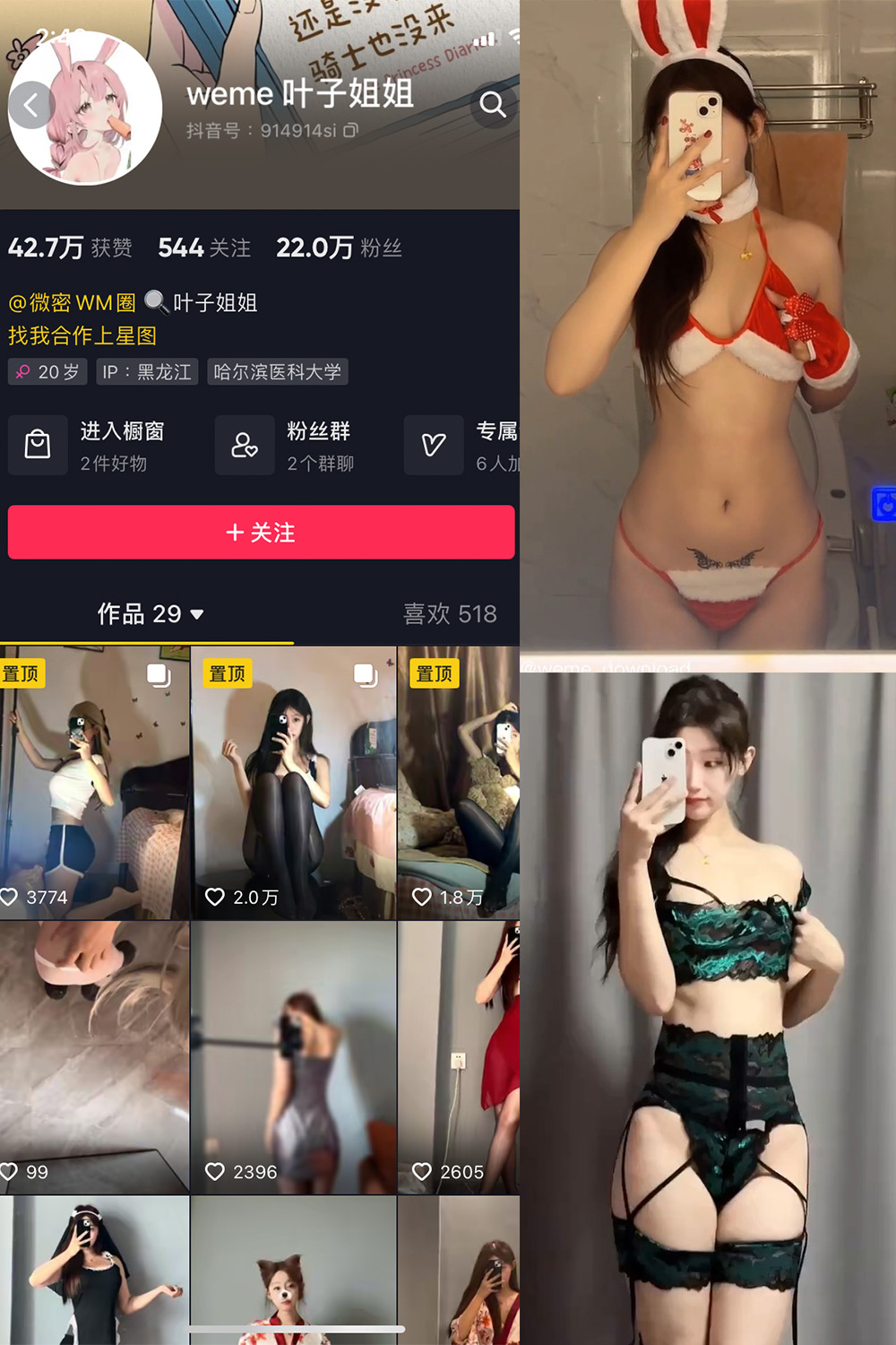 抖音 叶子姐姐 微密圈 NO.024期 【11P14V】