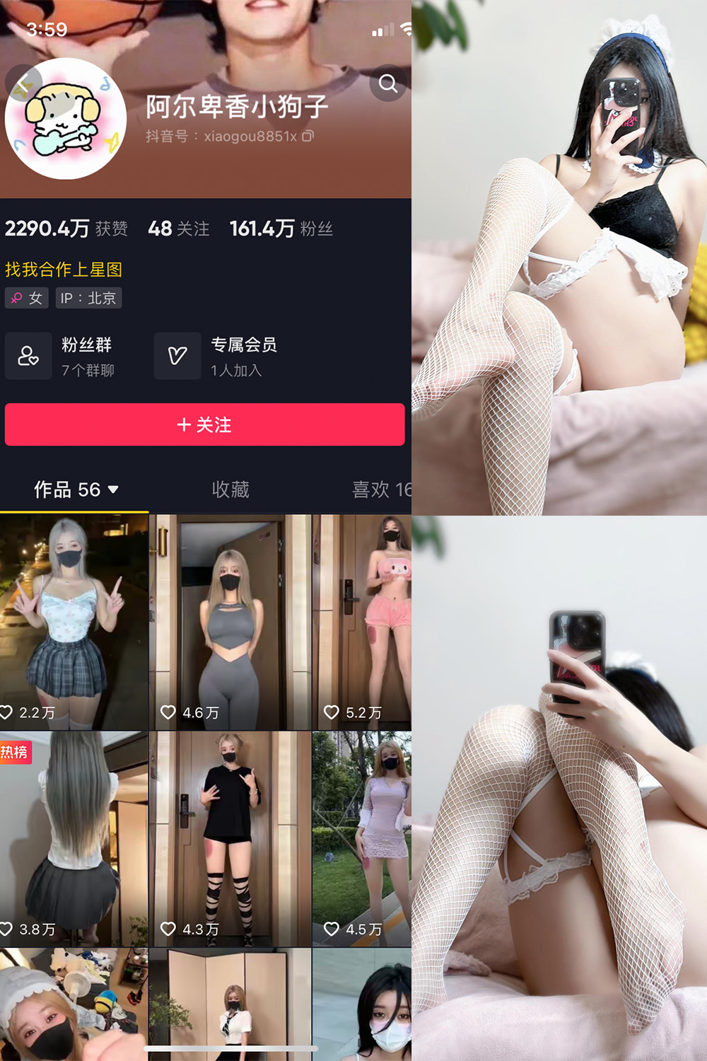 抖音 阿尔卑香小狗子 微密圈 NO.033期 【19P】