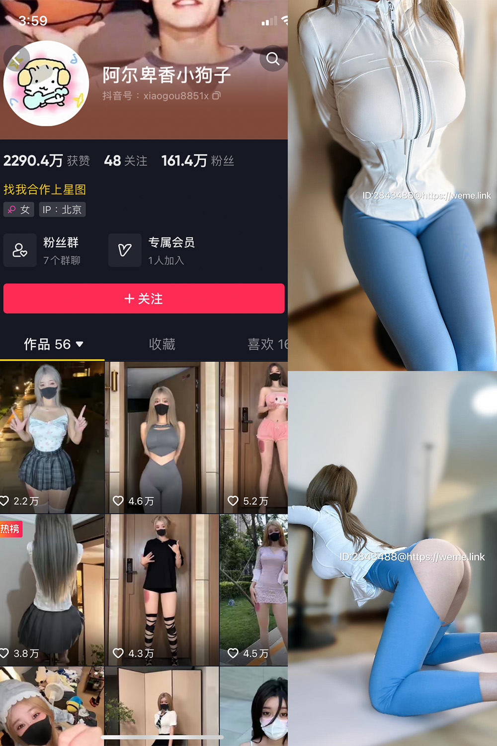 抖音 阿尔卑香小狗子 微密圈 NO.017期 【34P1V】