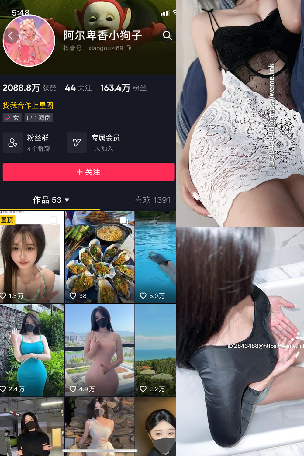 抖音 阿尔卑香小狗子 微密圈 NO.011期 【36P1V】